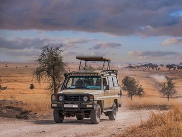 tui-group-nezasa-partnership