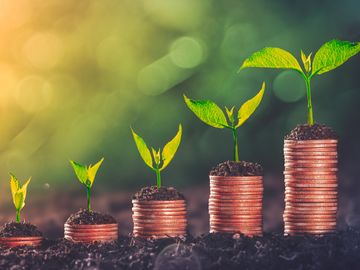pulse-startups-vouch