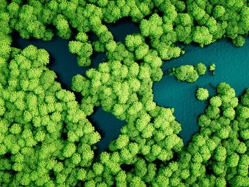 ba-amadeus-sustainability-efforts