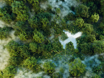 Chooose gets investment from BP, partners to help airlines decarbonize