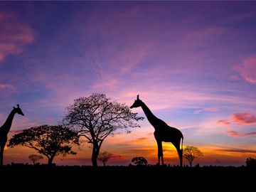 Exoticca lands €60M investment to grow multi-day tours platform