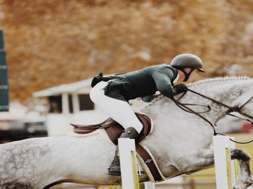 FEI on bringing the industry closer to equestrian sports