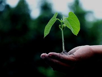 Welcome to the Hot 25 Startups for 2019