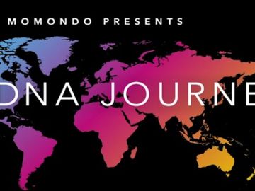 Momondo's DNA journey video goes viral