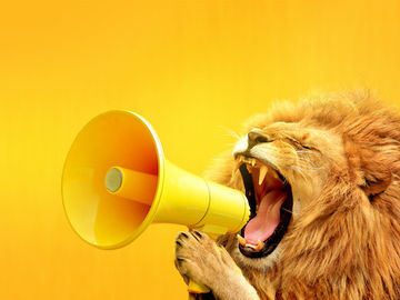 My Method... A tale of two zoos and conversational technology