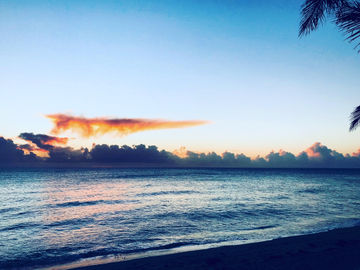 Sun rises over PhocusWire...