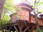 PhocusWire Pulse: Rentals On The Rise