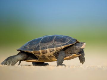 QOTW: Something about not moving fast enough