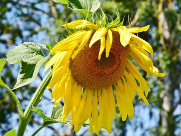 QOTW: Something about fading attraction