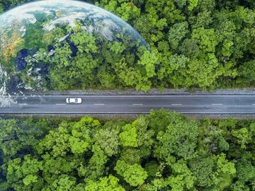 How AI can prepare travel and tourism’s workforce for the green transition
