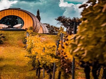 Shaken, not stirred, by a travel sector now following a familiar pattern