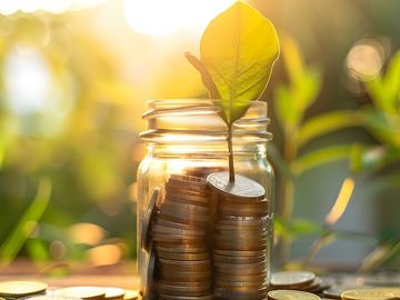 How travel startup funding shaped up in 2024
