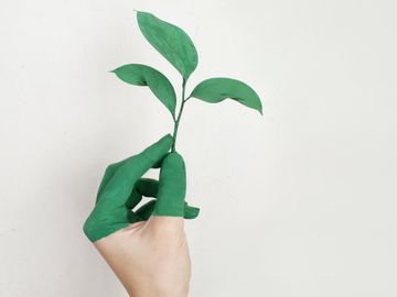 VIDEO: Being innovative with sustainability challenges