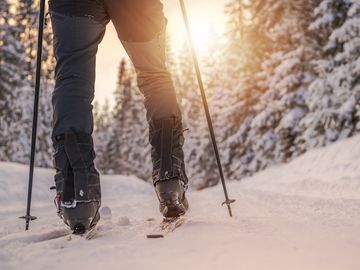 STARTUP STAGE: Wertu uses artificial intelligence to improve sports travel itineraries