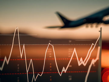 Who should own the travel customer?