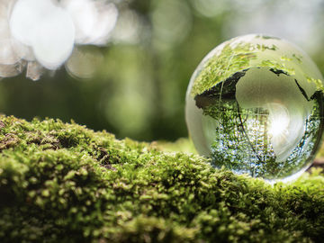 Travel industry urged to be more ambitious on sustainability
